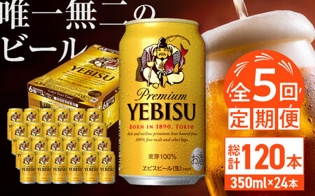 【全5回定期便】サッポロ ヱビスビール 350ml×24缶　合計120缶 /ビール ビール ビール ビール ビール ビール/日田市 / 株式会社綾部商店[ARDC001]