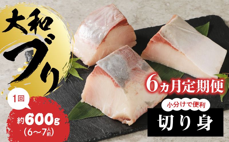 【大和海商】大和ブリの切り身　6ヵ月定期便 N072-YE091