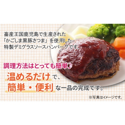 【毎月定期便】「かごしま黒豚さつま」デミグラスハンバーグ10個セット(南九州市)全3回【配送不可地域：離島】