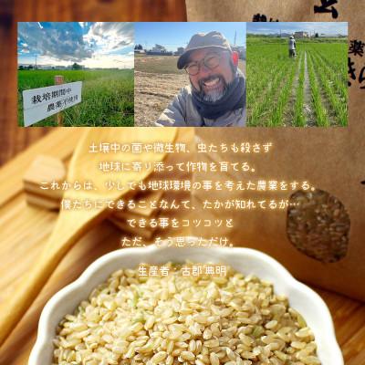 ふるさと納税 足利市 のりちゃん米 玄米(にじのきらめき)5kg<栽培期間中 農薬・肥料不使用> |  | 03