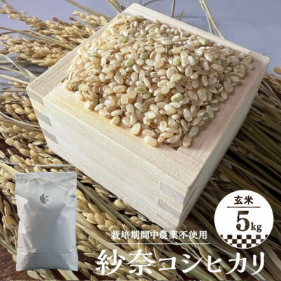 【ふるさと納税】【玄米5kg】紗奈～はまだ農園 　玄米(コシヒカリ)【1600210】