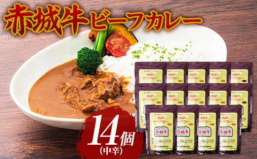 
赤城牛 ビーフカレー（中辛）200g×14個 《ご当地レトルトカレーランキング全国第3位受賞》カレー レトルト 牛肉 銘柄牛 赤城牛 長期保存 群馬 渋川市 F4H-0119
