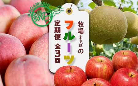 【2026年発送】鏡石町 まきばのフルーツ定期便（桃2kg・和梨3kg・りんご5kg）モモ もも ナシ なし リンゴ 福島県 鏡石町  F6Q-390