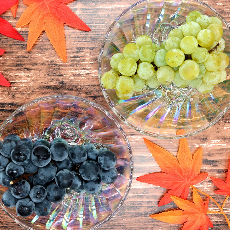 【定期便3回】ぶどう5種の癒し便【令和8年産先行予約】FS24-791