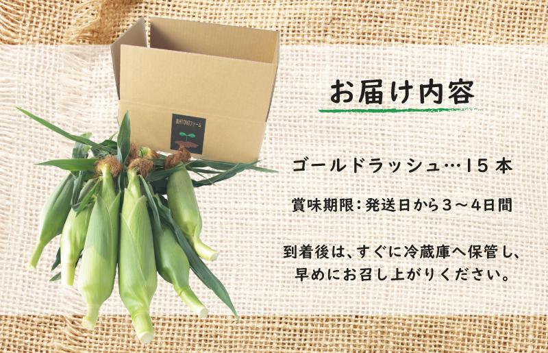ゴールドラッシュ 15本【新鮮 野菜 泉佐野産 とうもろこし コーン やさい TONOファーム 数量限定 先行予約】 G1107