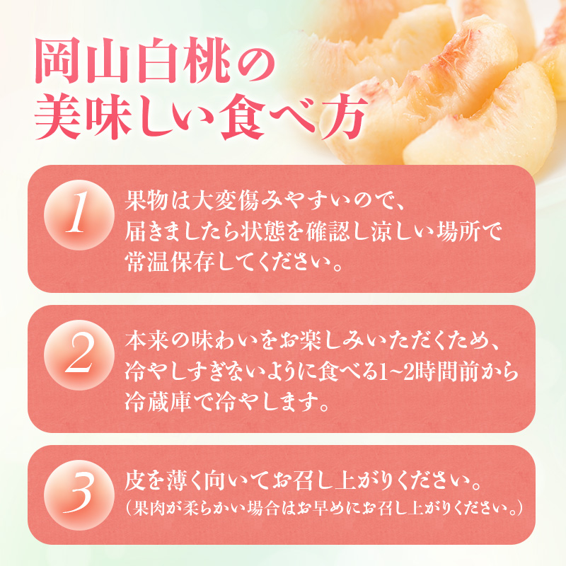 【2026年先行受付】 白桃 ニューピオーネ 約1.2kg セット 桃 2玉 ぶどう 1房 岡山県産  御中元 ギフト 御礼 プレゼント 御礼 御祝 御供 果物 くだもの フルーツ もも モモ 葡萄 