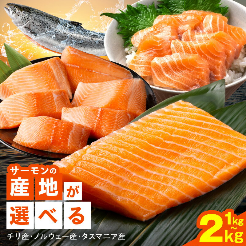 【ふるさと納税】特別寄附金額 サーモン 選べる チリ産 / タスマニア産 / ノルウェー産 1kg / 2kg 鮭 シルバーサーモン アトランティックサーモン 訳あり サイズ不揃い 上質 刺身 海鮮丼 サラダ 魚 魚介類 冷凍 物価高応援 大阪府 泉佐野市 送料無料 KGCP