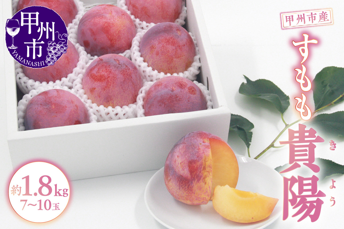 B15-196．【2023年先行予約】すもも『貴陽』約1.8kg　化粧箱8～10個入り（クール便）
