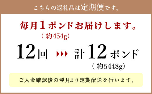 日本一の和牛 おおいた豊後牛 1ポンド エアーズロック極厚ステーキ