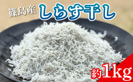 篠島 しらす干し 約1kg