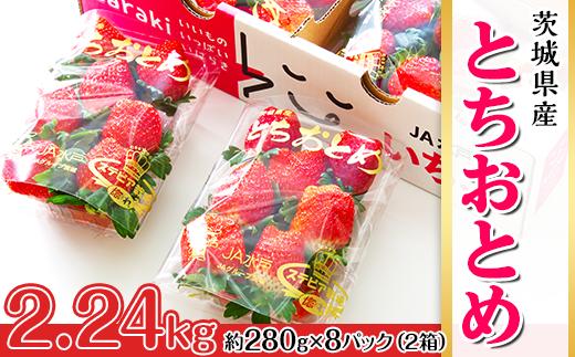 
200茨城県産いちご「とちおとめ」2.24kg（2箱8パック）【2025年1月中旬頃～3月下旬頃発送予定】
