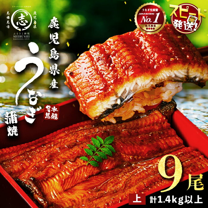 【ふるさと納税】【10営業日以内に発送】うなぎ 養殖日本一！鹿児島県産うなぎ 蒲焼 名水慈鰻上9尾(1尾あたり160g〜190g)＜計1400g(1.4kg)以上＞ うなぎ 鰻 ウナギ 国産 9尾 蒲焼き かばやき 冷凍 うな重 人気 【鹿児島鰻】
