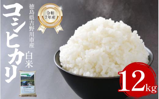【先行予約】令和7年産 米 白米 選べる 容量 12kg （2kg × 6袋 ）コシヒカリ 令和7年度産 お米 こめ 棚田米 白米 精米 ごはん ご飯 白飯 ゴハン  小分け 便利  徳島県 吉野川市