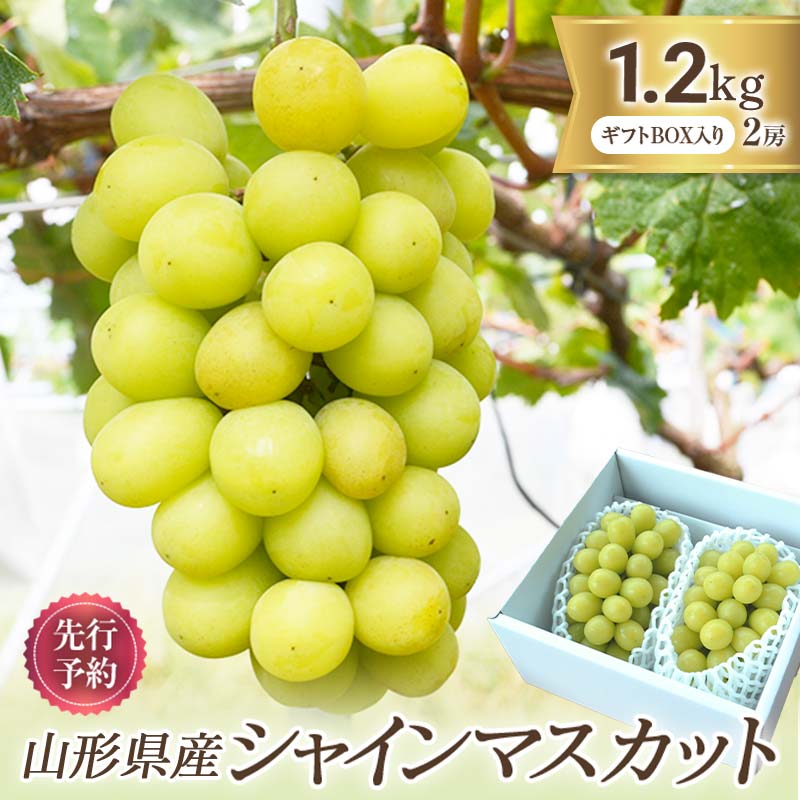 【ふるさと納税】 《2026年発送 先行予約》 山形県産 シャインマスカット 2房 1.2kg マスカット ぶどう ブドウ 葡萄 デザート フルーツ 果物 くだもの 果実 食品 山形県 FSY-0579