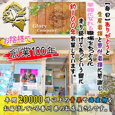 ふるさと納税 坂出市 ≪瀬戸内海産≫鮮魚のプロが見極めた朝1番水揚げされた天然真鯛を直送致します。[中サイズ] |  | 03