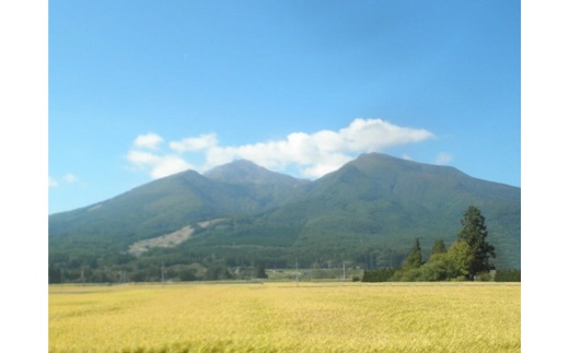 【令和7年度産 新米予約】 米 ひとめぼれ 10kg(10kg×1袋) 白米 精米 ※2025年11月下旬頃より順次発送予定 ※沖縄・離島への配送不可