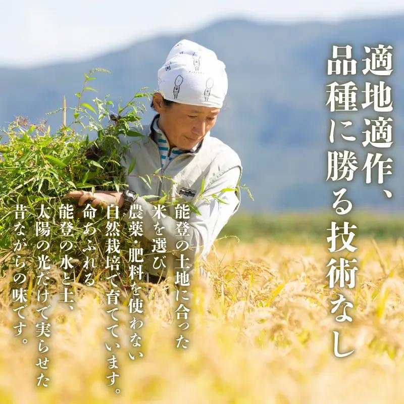 [WH007] 令和7年産 自然栽培米 越田さんちの銀坊主 精米 2kg