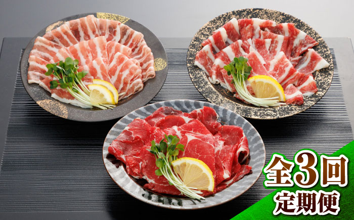 【全3回定期便】新感覚!極薄スライス「花びら馬刺し」3種盛り300g(専用醤油付き) / 馬刺し 菊陽町 熊本県 醤油 専用 ばさし 馬肉 肉 niku おつまみ【有限会社 桜屋】 [BHDB005]