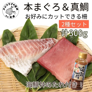 海鮮丼のたれ付！長崎県産本まぐろ＆ハーブ仕立ての真鯛　柵セット2種300g( 本マグロ 本まぐろ 本鮪 鮪 マグロ 鷹島産 海鮮 まぐろ 漬け丼 魚介類 大トロ 中トロ 赤身 松浦 海鮮丼 丼 本格的 鯛 たい タイ 真鯛 マダイ )【B2-125】