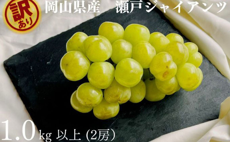 
                  訳あり 瀬戸ジャイアンツ 2房 合計1.0kg以上 産地直送 朝採れ ぶどう 葡萄 岡山 Kawahara Green Farm 岡山県産 2026年 先行予約
                
