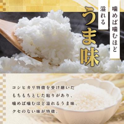 ふるさと納税 徳島市 アキサカリ 精米 5kg【GV003】 |  | 01