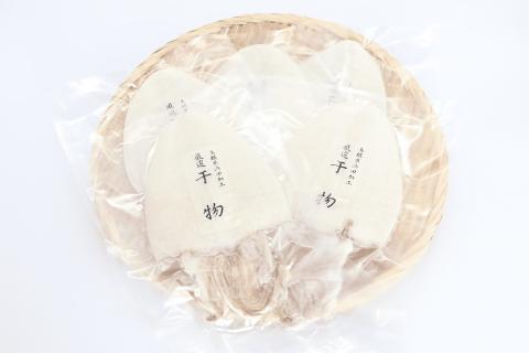 島根県産剣先イカ一夜干し 計600g（4～6枚）個包装・真空袋・ギフト 真空 個包装 訳あり 干物 白イカ 保存料不使用 大容量 剣先イカ 一夜干し 【1781】