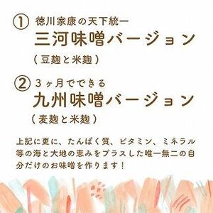 ストレスチェック&あなたのなりたいを叶える食提案付 栄養プラス味噌作り体験チケット【1名様 約２時間】