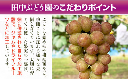 ほしぶどう 40g×10袋 国産 ドライフルーツ 無添加 複数品種 希少 レア 小分け干し葡萄 ほしぶどう 無添加 防災食品 保存食 備蓄食 常備食 食物繊維 鉄分 ポリフェノール レーズン 製菓 製