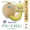 【ふるさと納税】【毎月定期便】アローマメロン(中玉)1玉・6ヵ月毎月お届け全6回【配送不可地域：離島・北海道・沖縄県】【4006988】