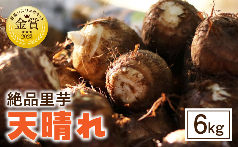 絶品里芋　～天晴れ～　6kg・S068-170