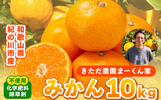
                  まーくん家のみかん 約10kg 《2027年11月中旬-12月中旬頃出荷》 和歌山県 紀の川市 柑橘 きただ農園まーくん家 化学肥料・除草剤不使用
                