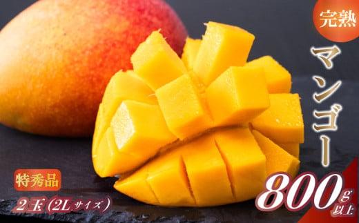 【202505_父の日】【早期予約】《2025年5月中旬から発送》マンゴー 特秀品 2玉(2L) 800g以上 果物 完熟 フルーツ 完熟マンゴー 期間限定 ギフト 贈答用 ふるさと納税マンゴー ご褒美 お中元 甘味 デザート 甘い 産地直送 高知県 須崎市 SKN001