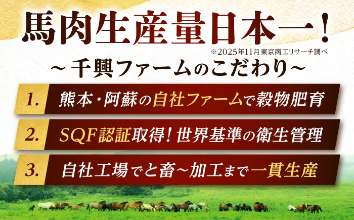熊本 馬刺し 馬レバーブロック  約80g（約80g×1P)