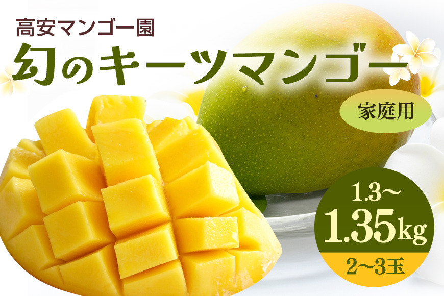 
                  【 先行予約 2026年 発送 】高安マンゴー園 キーツマンゴー 1.3-1.35kg(家庭用) 沖縄県産  完熟マンゴー 果物 くだもの フルーツ 沖縄 お取り寄せ ギフト 産地直送 農家直送 糸満市 
                