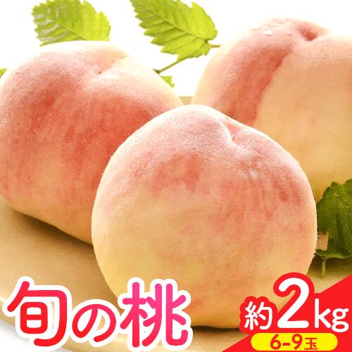 【ふるさと納税】【先行予約】桃 約2kg（6-9玉） 岸武青果株式会社《2025年6月末-8月末頃出荷》 和歌山県 紀の川市 桃山町 もも モモ 果物 フルーツ