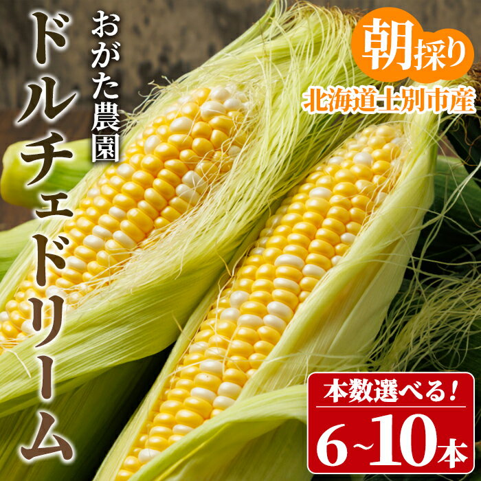 【ふるさと納税】＜本数選べる＞スイートコーン ドルチェドリーム (6～10本)【2026年7月下旬以降発送予定】北海道産 北海道 士別市 バイカラー とうもろこし とうきび 野菜 産地直送 新鮮野菜 【おがた農園】