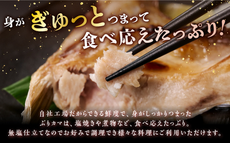 【訳あり】 天然 極寒ブリ ぶりカマ 1kg (4切)_A006-0991