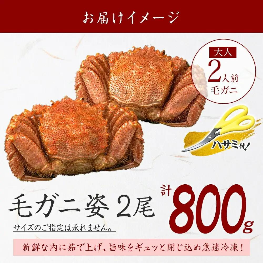 カニ 蟹 毛蟹 2尾 計800g前後 食べ方ガイド・専用ハサミ付 カニ かに 蟹 海鮮 ボイル カニ 蟹 海鮮 魚介 北海道 3357