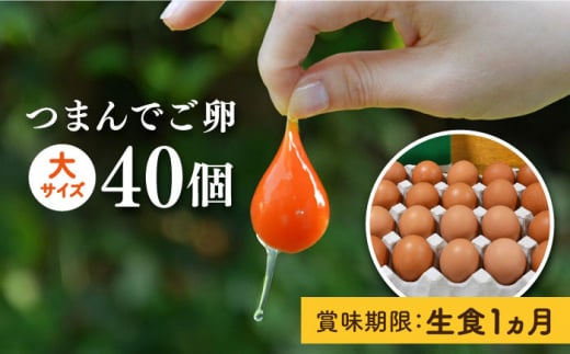 【プリップリな卵黄！】つまんでご卵 40個セット 卵 たまご 糸島 / 緑の農園 [AGA011] ランキング 上位 人気 おすすめ 生卵 鶏卵 たまご 卵 鶏卵 玉子 平飼い たまごかけご飯 卵かけご飯 卵焼き 生卵 濃厚