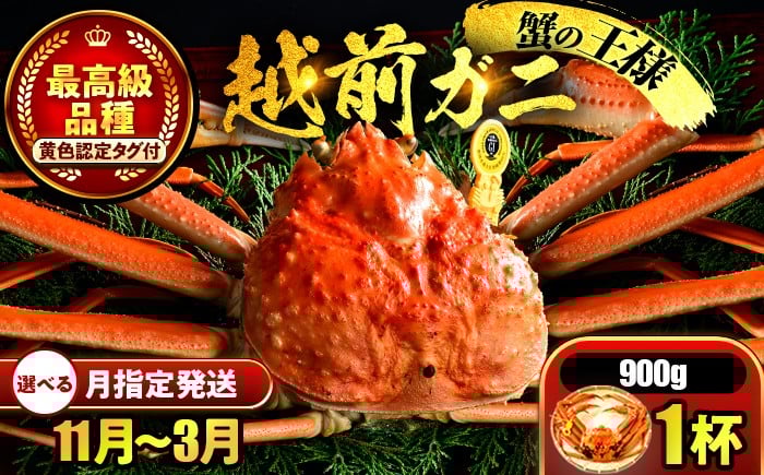 
            【先行予約】 【希望月指定可】 越前がに 900ｇ×1杯 / 蟹 ズワイガニ ずわいがに ボイル 冷蔵 小浜市 / まるほ商店 【配送不可地域：北海道・沖縄・離島】[BFCS027]
          