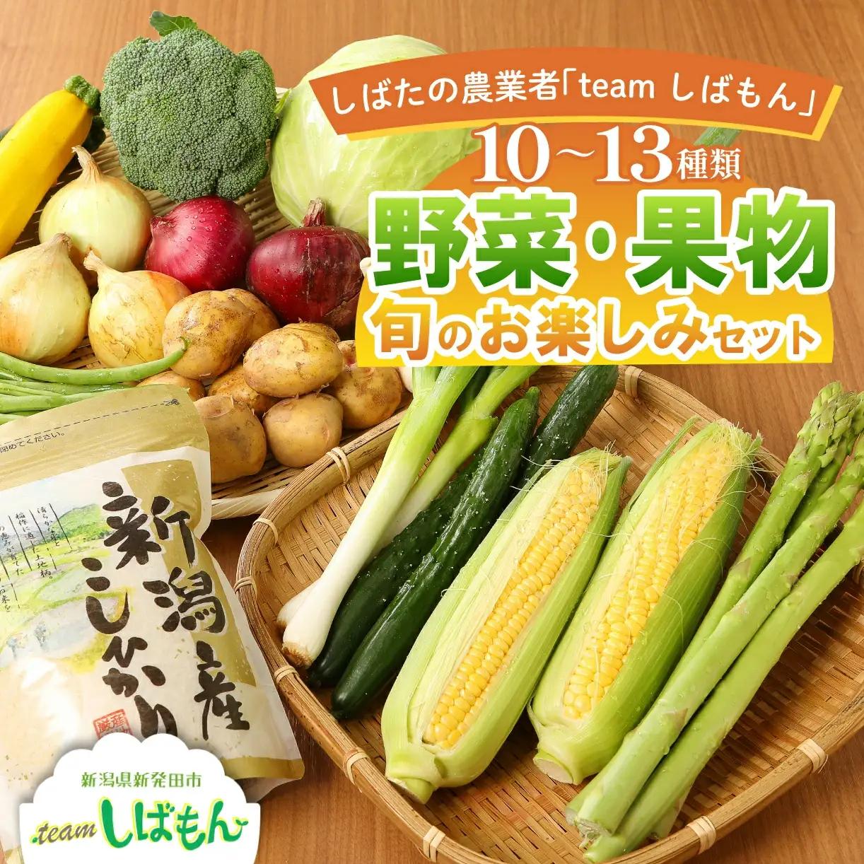 先行予約 野菜 果物 10～13種類 詰め合わせセット 野菜 野菜 新潟 野菜 野菜 C16_01