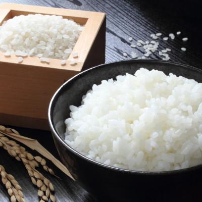 ふるさと納税 養父市 2025年10月以降発送【蛇紋岩ブランド　別格米10kg】 |  | 03