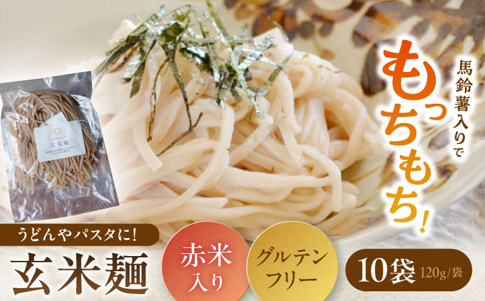
                  お山の玄米麺 計1.2kg（120g×10パック）/ セット うどん パスタ グルテンフリー 白川町 / [AWBC003]
                