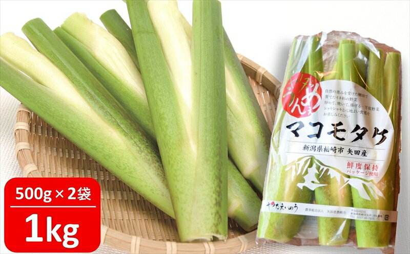 【ふるさと納税】【先行予約・数量限定】ヤタらうんめぇ マコモタケ 1kg | マコモダケ 希少野菜 柏崎地場特産品 水田環境鑑定士在籍[ZA043]【 新潟県 柏崎市 】