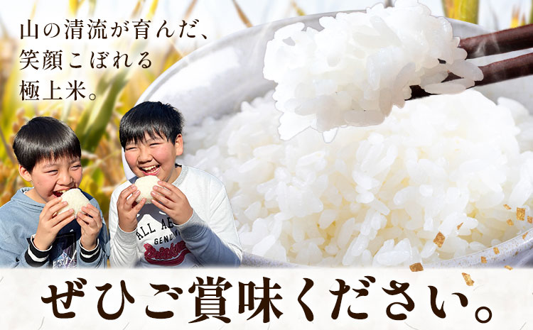 米 こめ コメ 令和7年産 いちの川 コシヒカリ 白米 5kg 市野川米製作所 《30日以内に出荷予定(土日祝除く)》米 ご飯 こしひかり