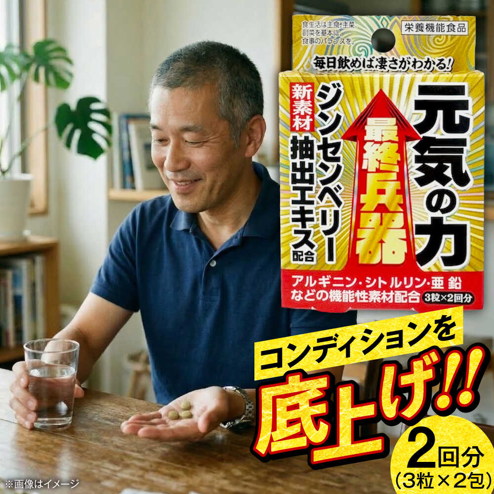 【ふるさと納税】サプリ 最終兵器 元気の力 6粒 / サプリメント サプリ 活力 コンディション 健康 栄養補給 ジンセンベリー 亜鉛 シトルリン 男性 国産 プレミアム さぷり ヘルスケア シニア 簡単 滋養強壮 携帯用 / 大阪府藤井寺市/(株)アスナロ化工研究所[BLAX015]