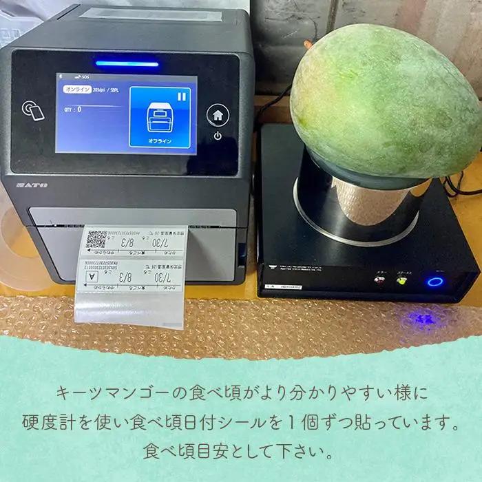 《先行予約 2027年発送》『天使のマンゴー』宮古島産キーツマンゴー  1.6kg （2玉）【ご贈答用】「LA MANGUE BLEUE」農家直送（GZ004）