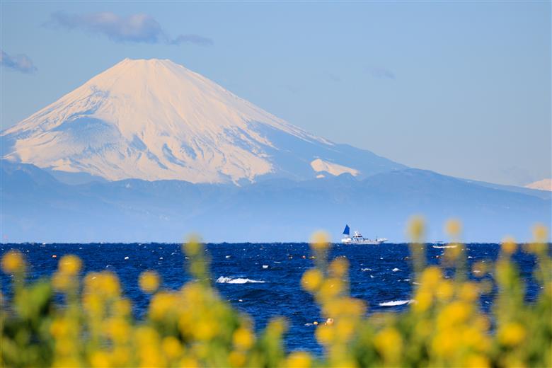 千葉県館山市 ANAトラベラーズホテル割引クーポン4,500点分
