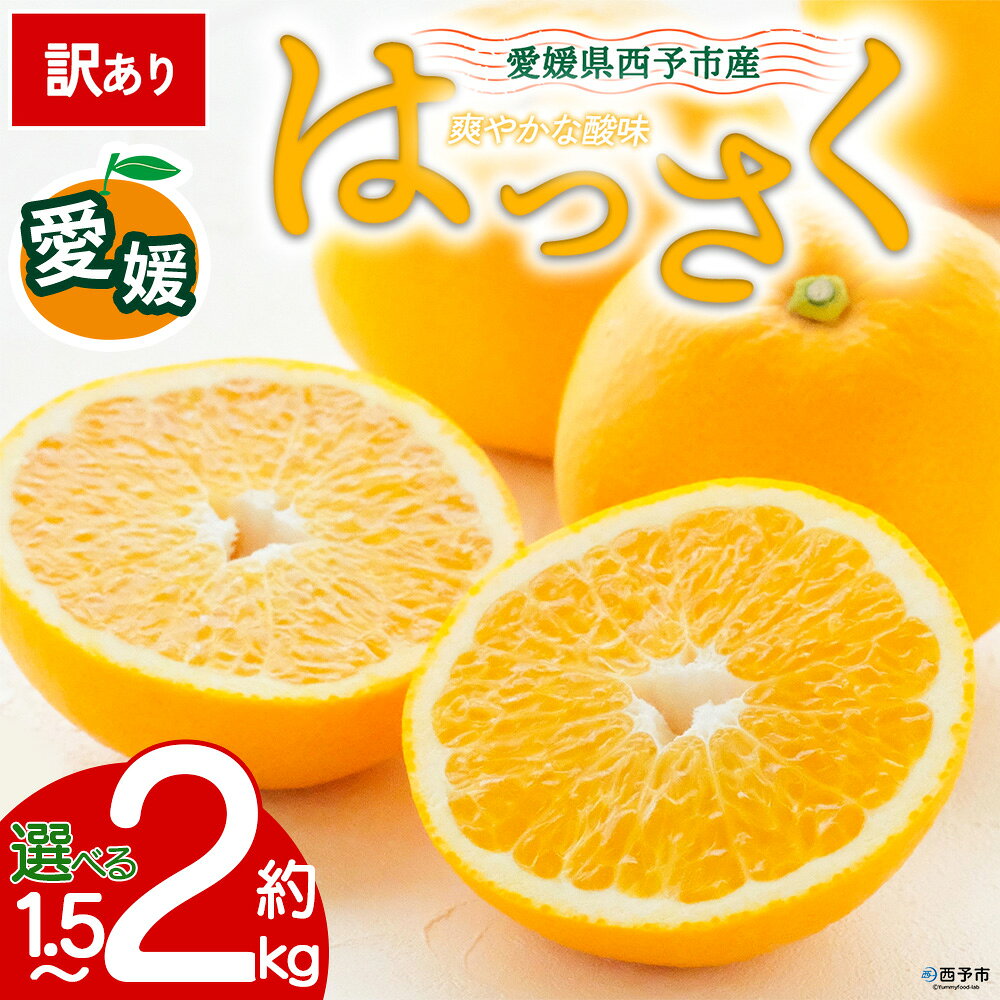 【ふるさと納税】【先行予約】＜訳あり 愛媛県産 八朔 約1.5kg／約2kg＞ 『2027年2月中旬以降順次出荷予定』選べる はっさく ぷりぷり食感 酸味 ご家庭用 ご自宅 蜜柑 果肉 果物 柑橘 フルーツ オレンジ 国産 濃厚 産地直送 ミヤモトオレンジガーデン 愛媛県 西予市【常温】