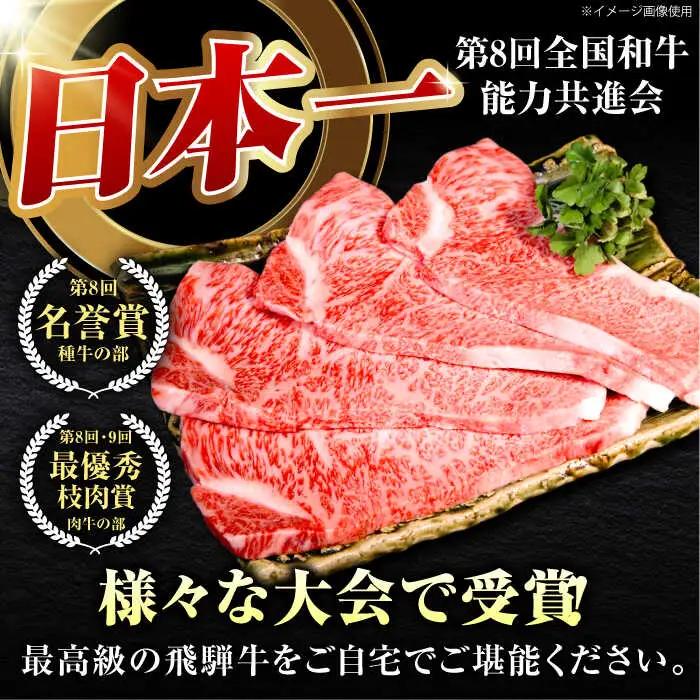 【6回定期】特選飛騨牛5等級ステーキ サーロイン800g[AVAG009] 飛騨牛 サーロイン